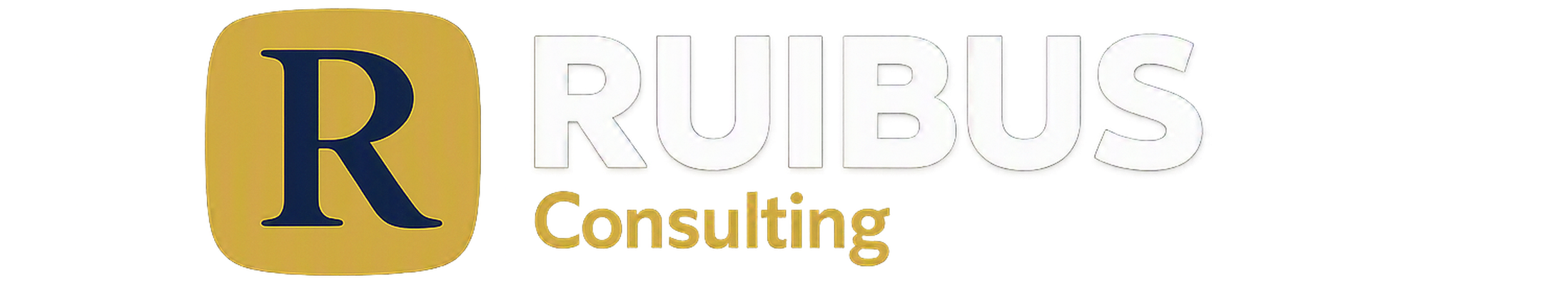 RUIBUS Consulting